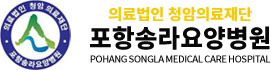 포항송라요양병원
